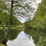 Photo n° 20 de l'avis de Rosalina.h fait le 15/05/2021 à 17:43 pour Le Parc du Château de Chantore à Bacilly