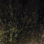 Photo n°1 de l'avis de Michi. fait le 04/10/2023 à 15:46 sur le  LaFraschetta374 à Rome