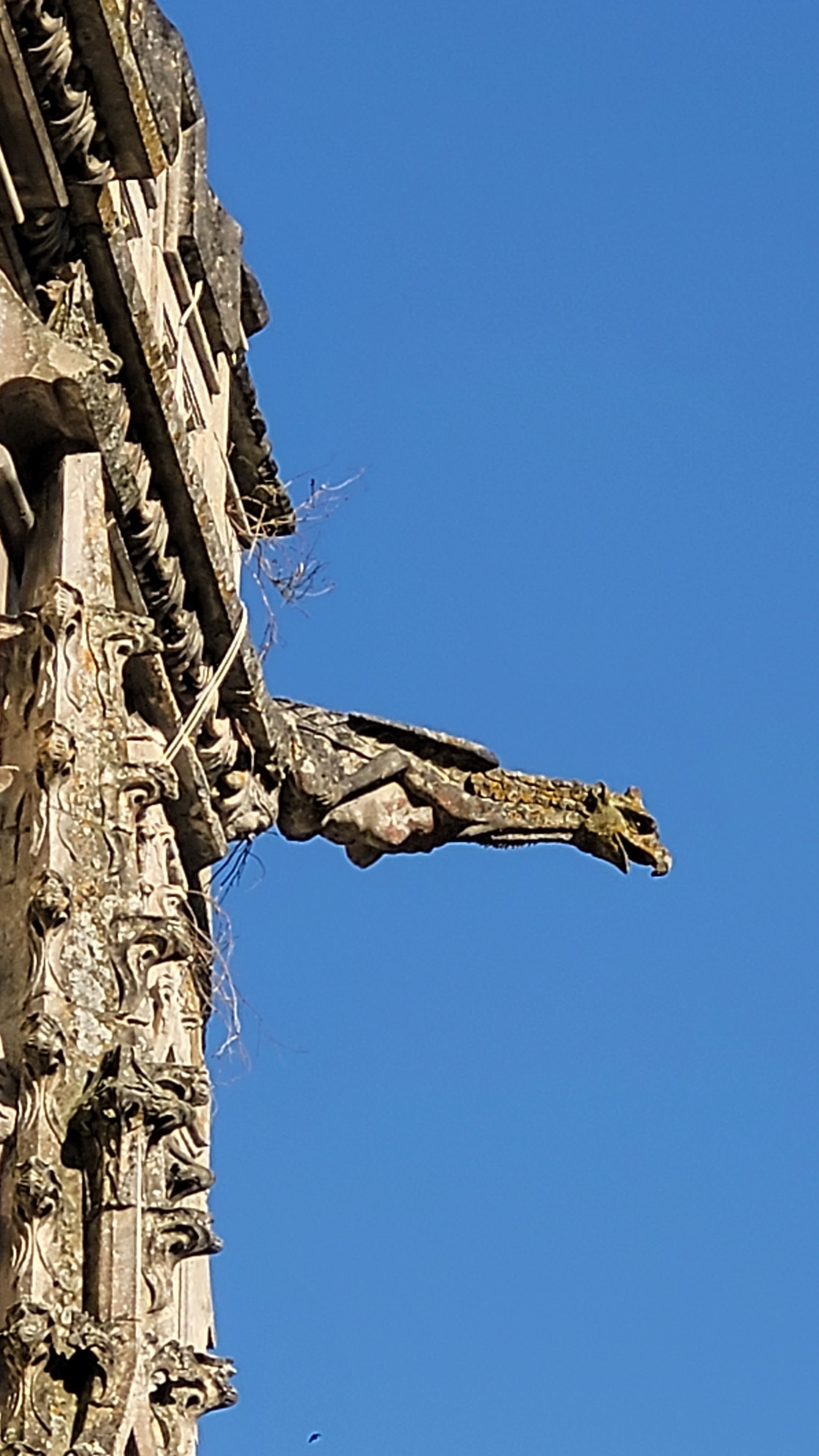 Photo n° 4 de l'avis de Caro. fait le 19/05/2023 à 15:44