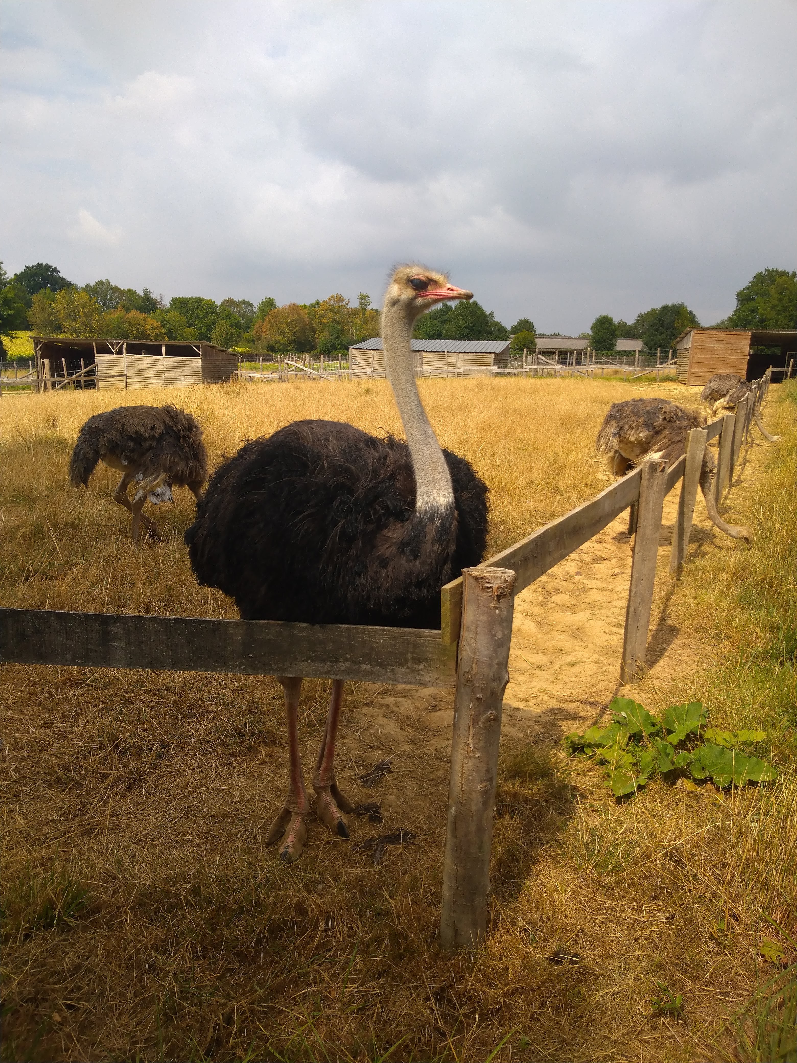 Photo n° 4 de l'avis de Dominique.e fait le 13/08/2020 à 19:03