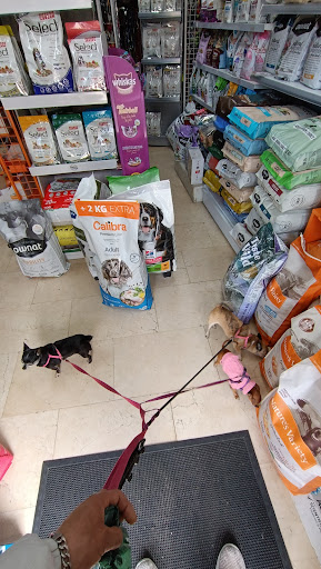Mascotas y Mascosas en Colmenarejo, Madrid