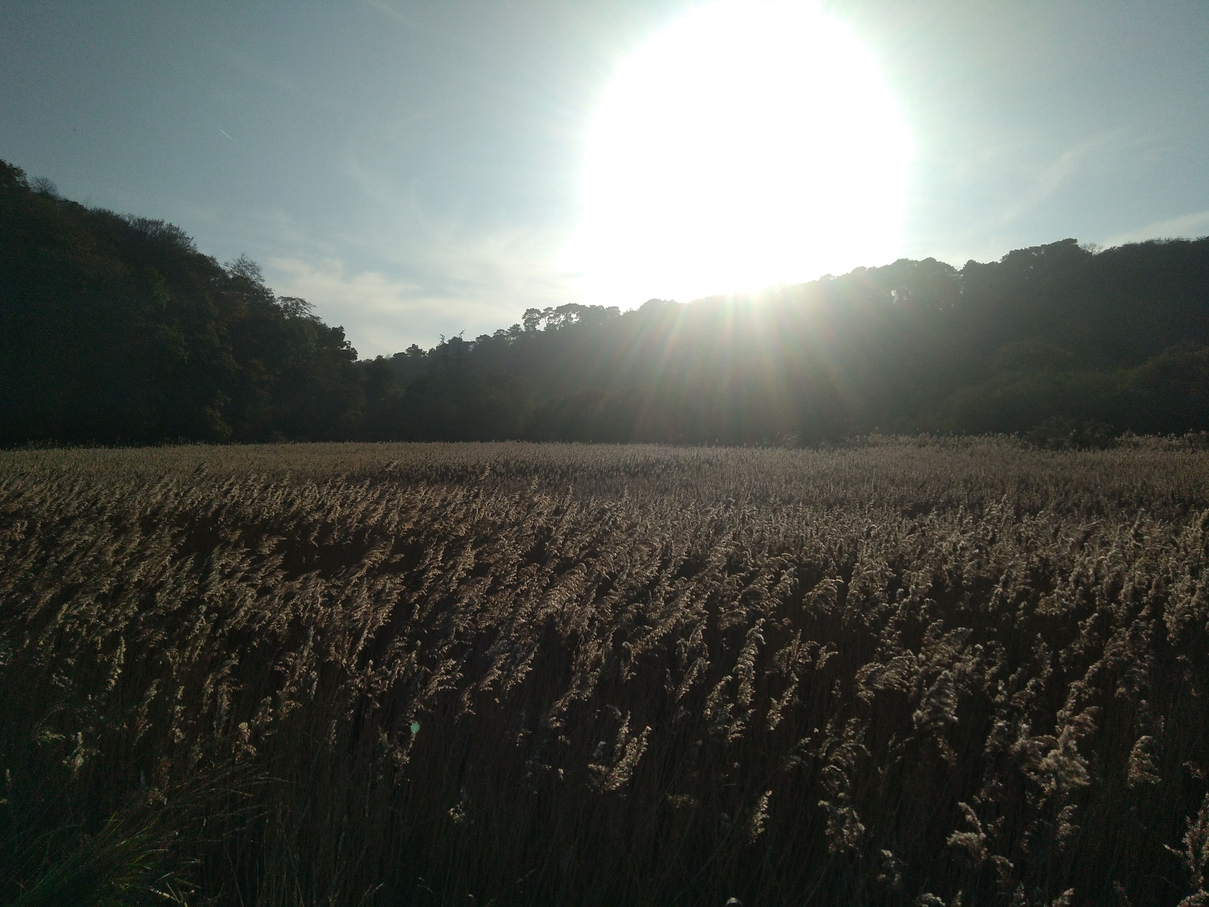 Photo n° 4 de l'avis de Gérard.u fait le 06/11/2020 à 21:03