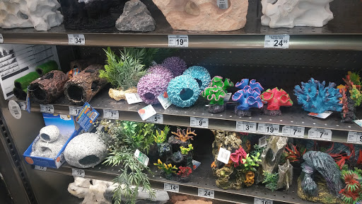 Pet Supply Store «Petco Animal Supplies», reviews and photos, 5215 Lakewood Blvd, Lakewood, CA 90712, USA