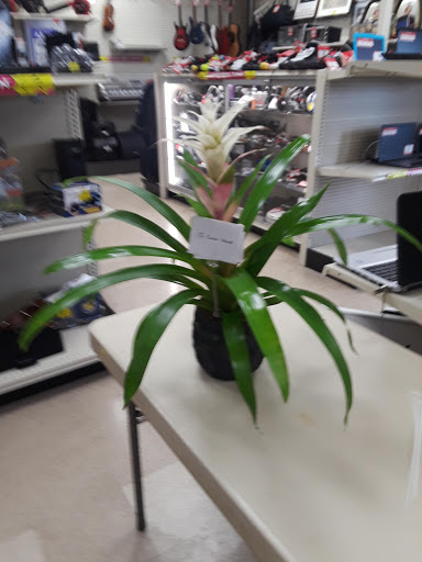 Florist «Ideal Orchids», reviews and photos, 2900 W Sample Rd, Pompano Beach, FL 33073, USA