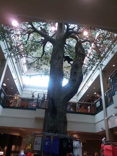 Sporting Goods Store «SCHEELS», reviews and photos, 1850 Adams St, Mankato, MN 56001, USA