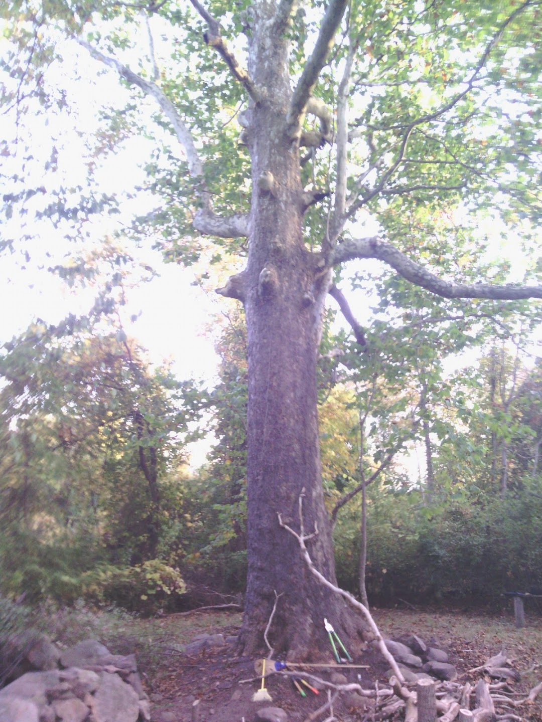 Cushing Memorial State Park