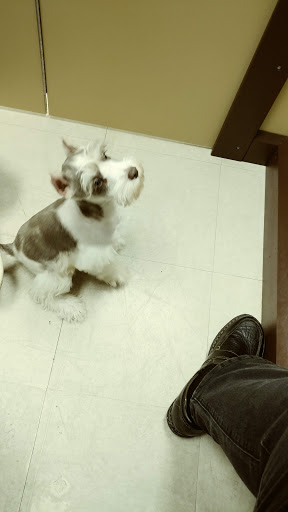 Nail Salon «ZEN Nail Salon», reviews and photos, 990 Hebron Rd, Heath, OH 43056, USA