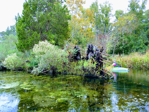 Tourist Attraction «Mallows Bay», reviews and photos, 1440 Wilson Landing Rd, Nanjemoy, MD 20662, USA