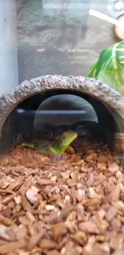 Pet Supply Store «Petco Animal Supplies», reviews and photos, 4012 W 27th Ave, Kennewick, WA 99337, USA