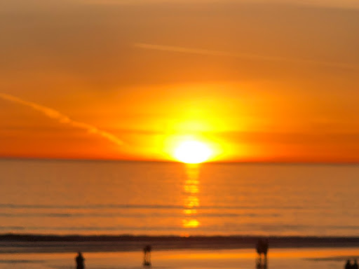 Surf Shop «Primal Surf», reviews and photos, 3106 Revere Blvd, Brigantine, NJ 08203, USA