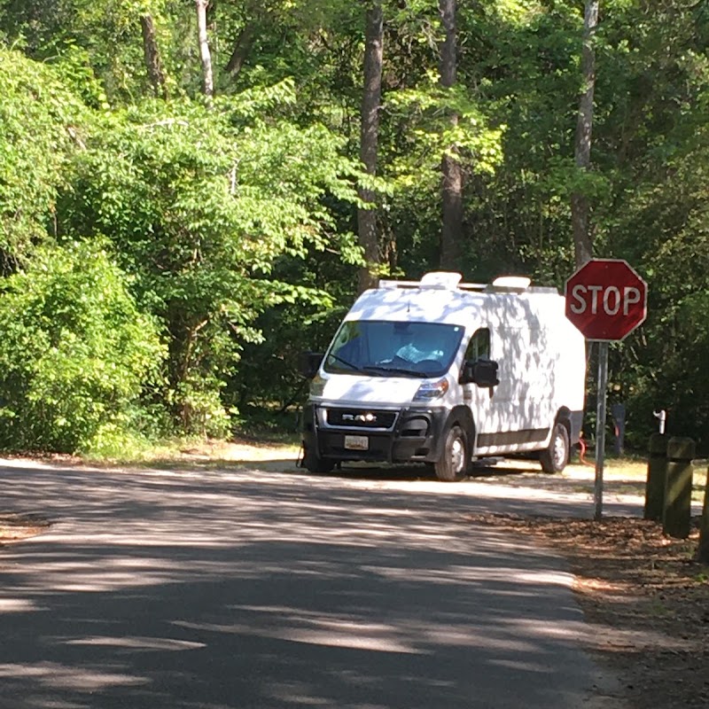 Parking for Carolina Beach State Park Trails