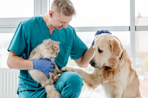 Clínica Veterinaria Alcora en Majadahonda