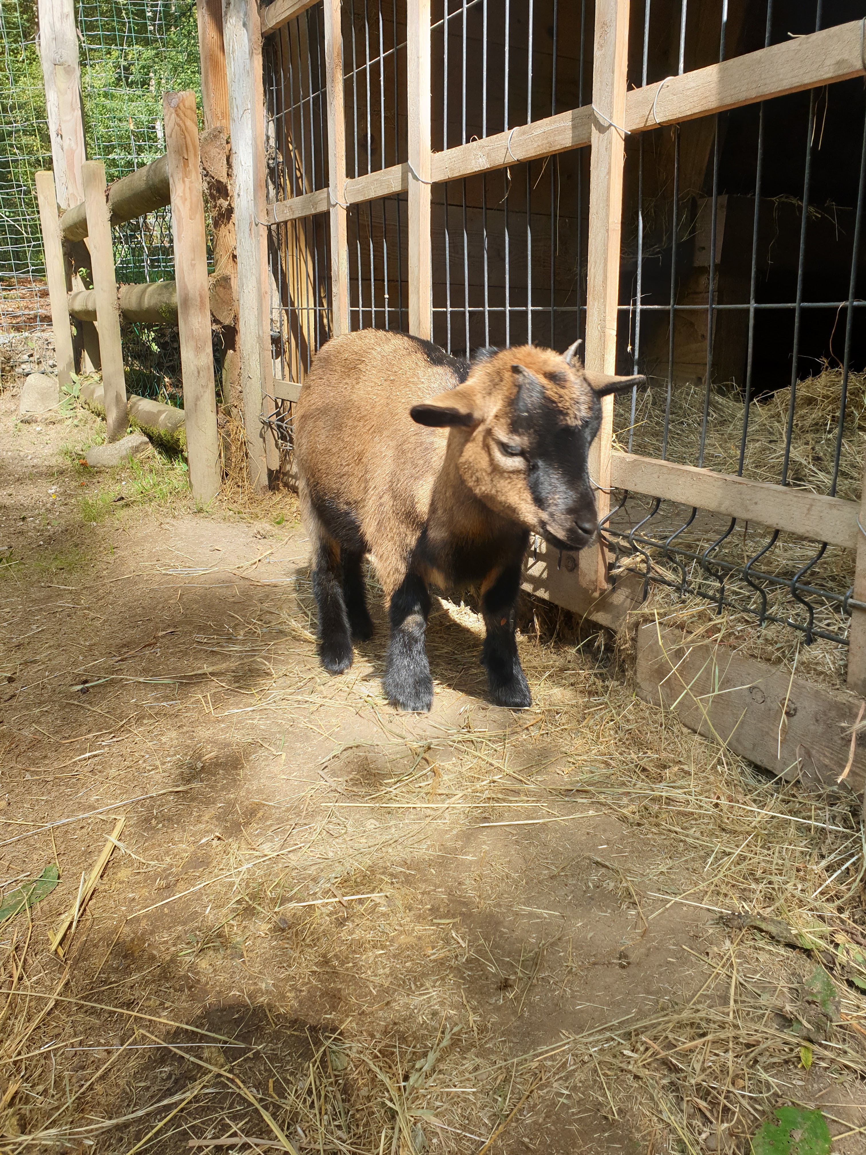 Photo n° 13 de l'avis de Sarah.h fait le 16/09/2020 à 12:45