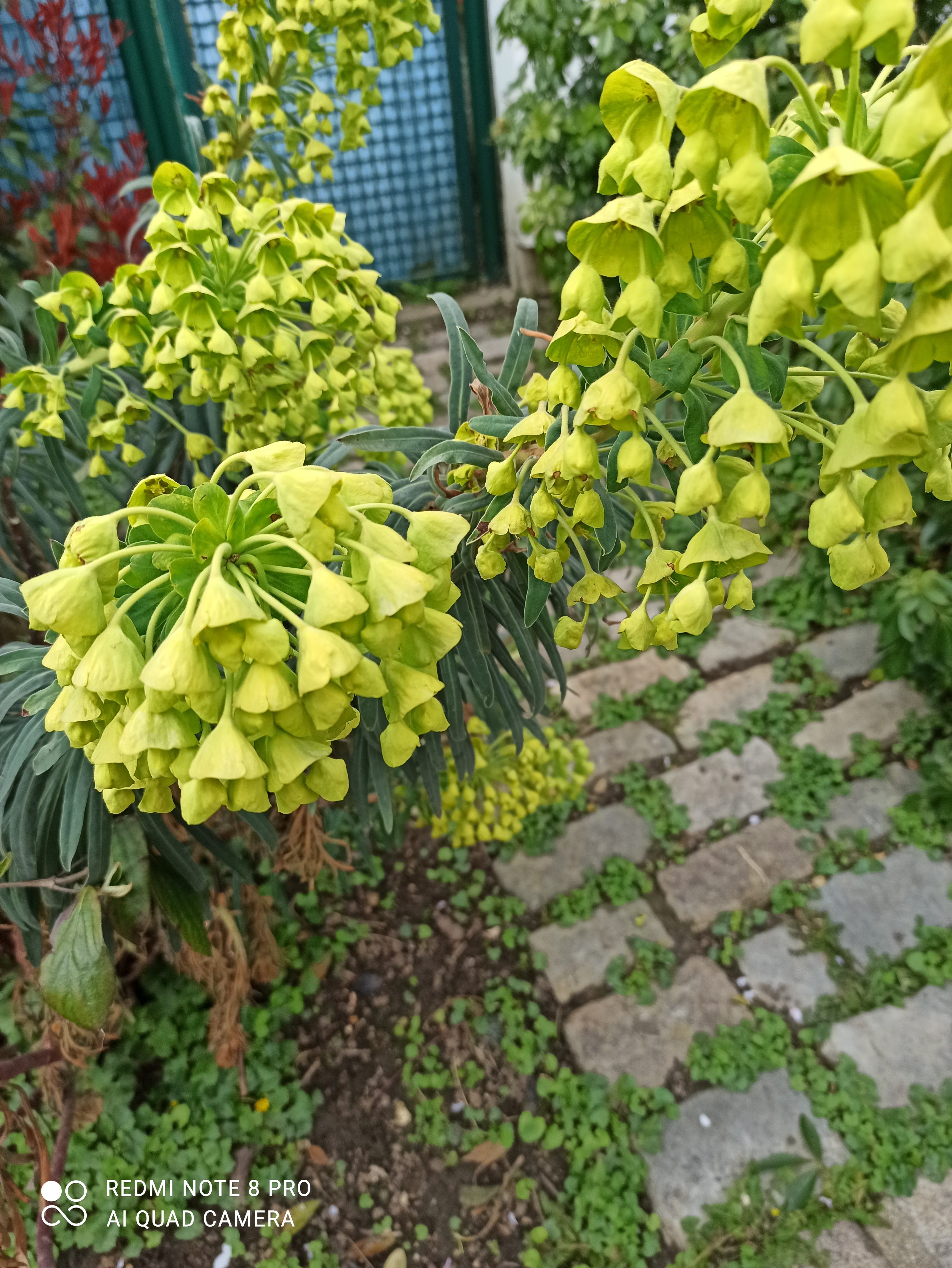 Photo n° 1 de l'avis de patricia.a fait le 22/03/2021 à 19:41