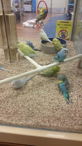 Pet Store «Pet Supermarket, Inc.», reviews and photos, 1938 FL-44 #40, New Smyrna Beach, FL 32168, USA
