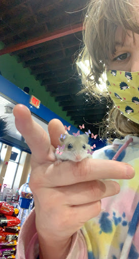 Pet Store «Pets Plus - Lansdale», reviews and photos, 555 S Broad St, Lansdale, PA 19446, USA