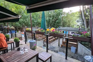 The Potting Shed Bar & Gardens image