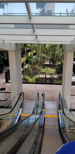 Book Store «Books & Books», reviews and photos, 9700 Collins Ave # 204, Bal Harbour, FL 33154, USA