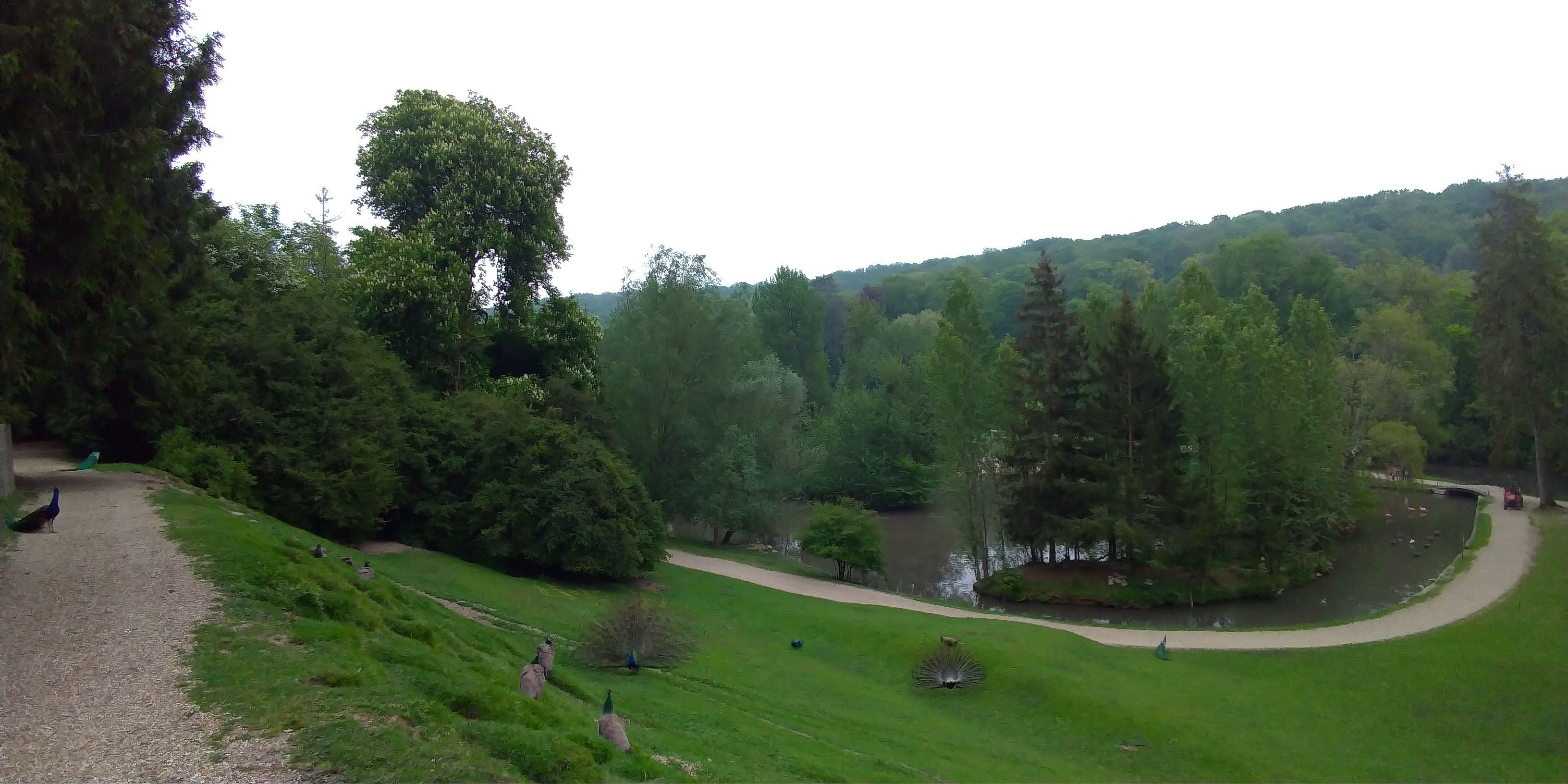 Photo n° 24 de l'avis de Maxime.E fait le 19/05/2019 à 20:15