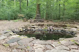 Wald für die Seele image