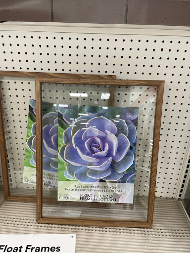 Craft Store «Michaels», reviews and photos, 6381 Pats Ranch Rd, Mira Loma, CA 91752, USA