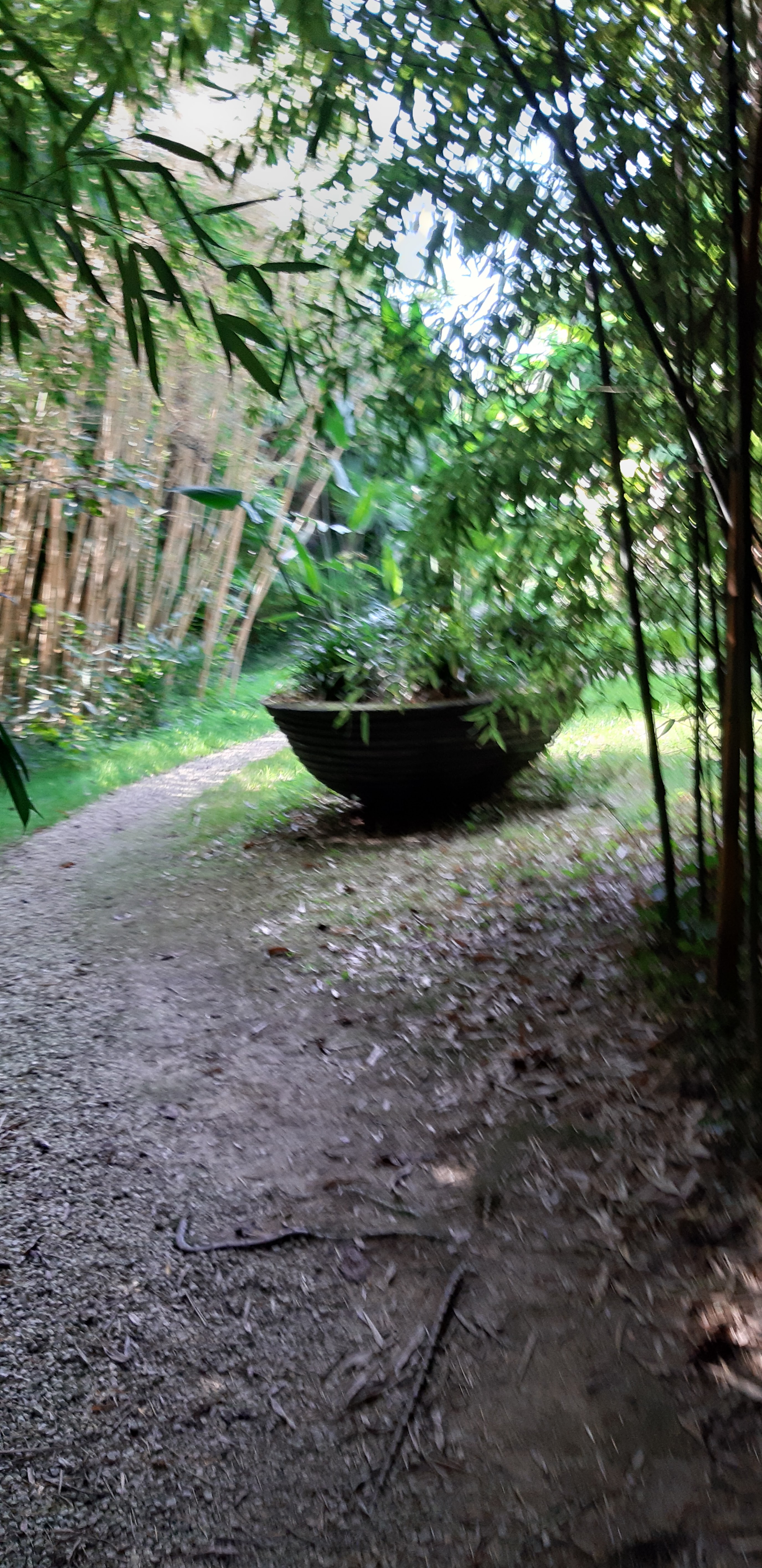Photo n° 41 de l'avis de denis.o fait le 01/10/2019 à 12:55