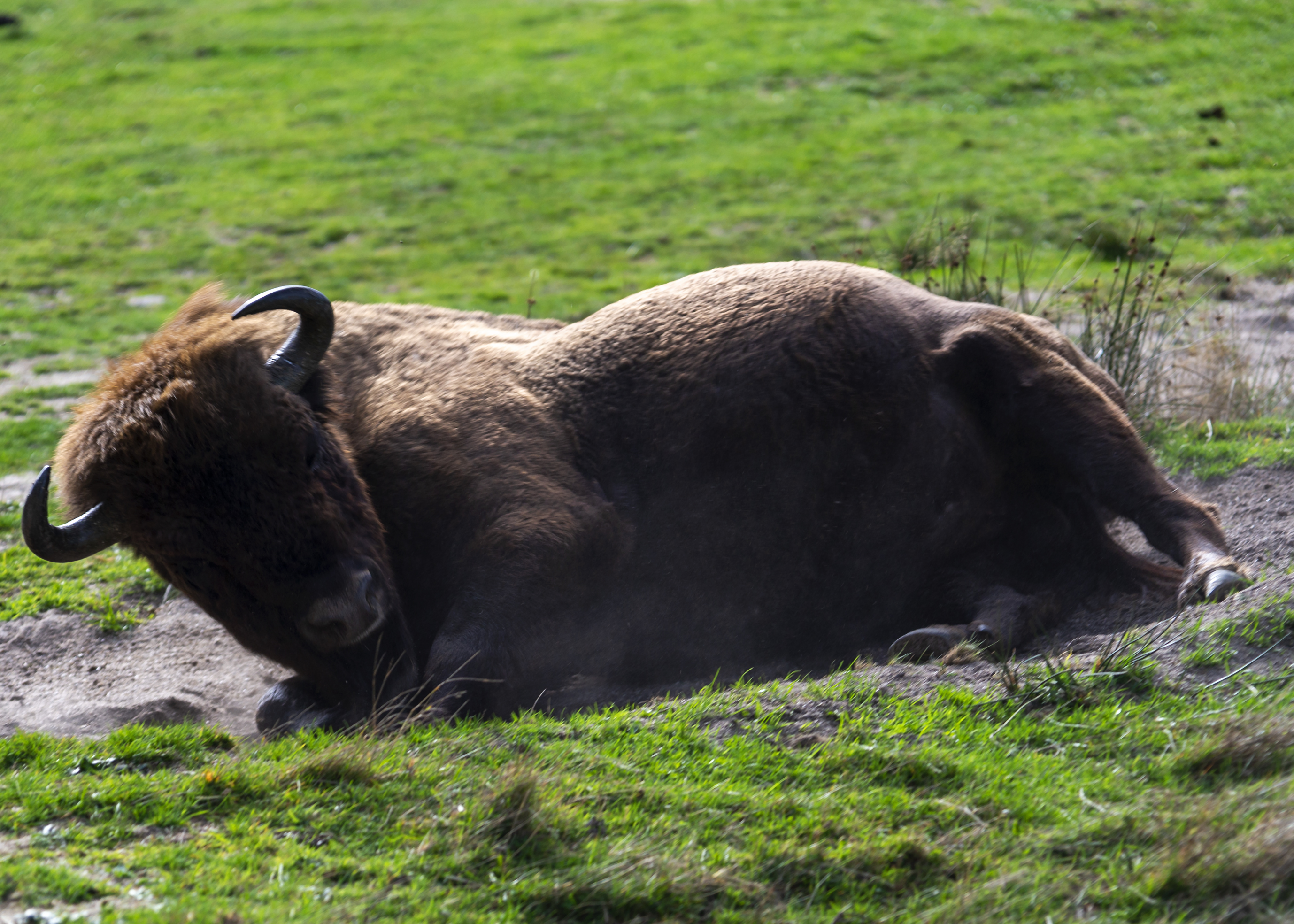 Photo n° 3 de l'avis de Guillaume.o fait le 30/10/2022 à 14:50