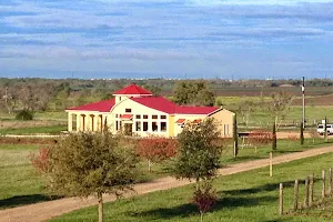 Texas Mead Works image