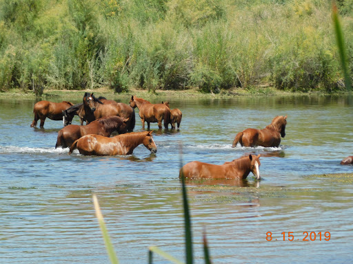 Country Club «Red Mountain Ranch Country Club», reviews and photos, 6425 E Teton Cir, Mesa, AZ 85215, USA