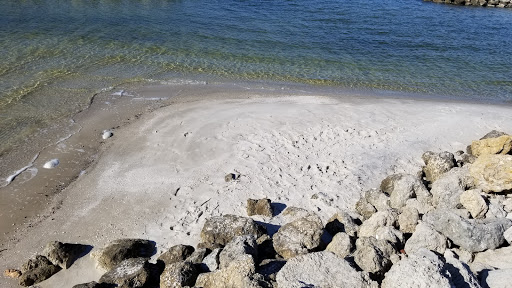 Apollo Beach Preserve