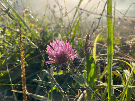 Horseback Riding Service «Secret Passage Ranch», reviews and photos, 321 Spring Mountain Way, Fort Valley, VA 22652, USA