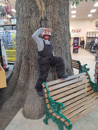 Sporting Goods Store «SCHEELS», reviews and photos, 4400 Sergeant Rd #54, Sioux City, IA 51106, USA