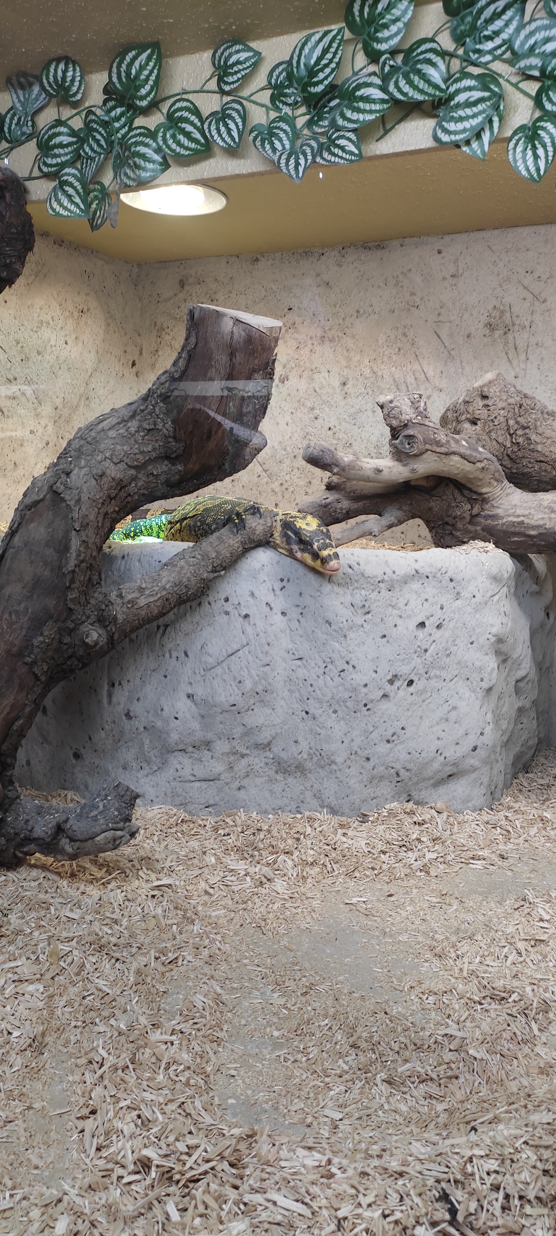 Photo n° 11 de l'avis de Astrid.i fait le 17/09/2021 à 13:14