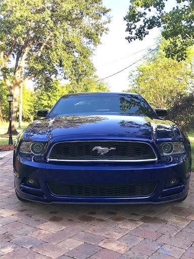 Car Dealer «Cars Unlimited», reviews and photos, 201 W Fletcher Ave, Tampa, FL 33612, USA