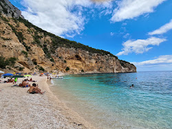 Spiaggia di Bilariccoro'in fotoğrafı çok temiz temizlik seviyesi ile