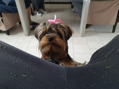 Plutôbo à Fenain