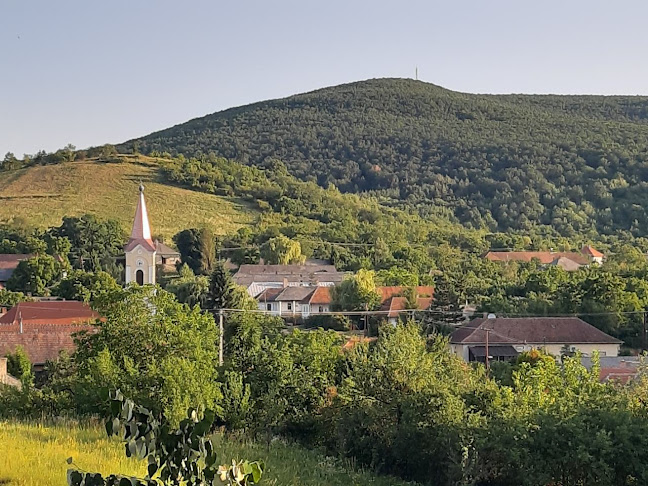 Füzérradvány, Táncsics Mihály u. 10, 3993 Magyarország