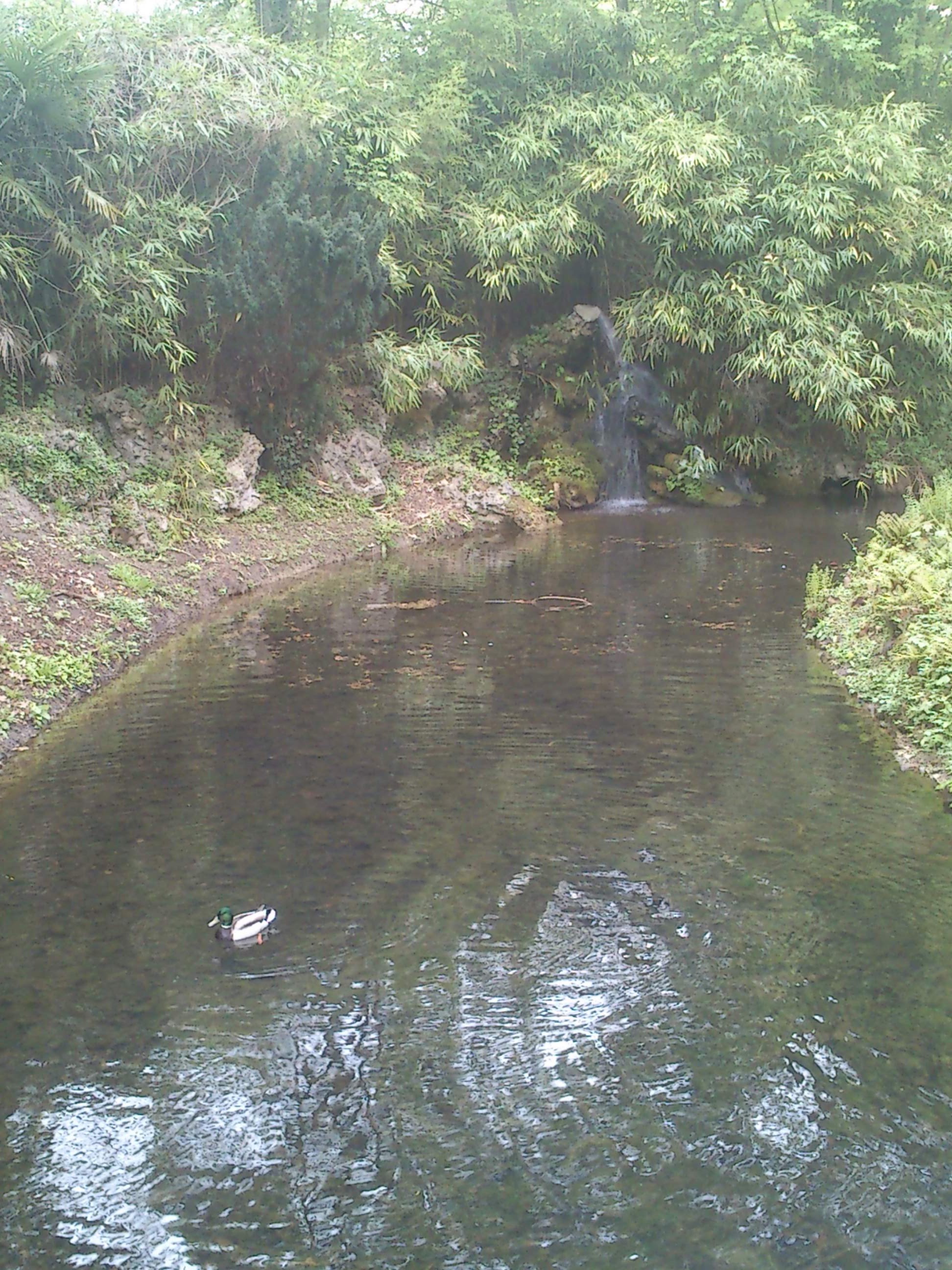 Photo n° 8 de l'avis de Guillaume.A fait le 10/05/2013 à 20:15