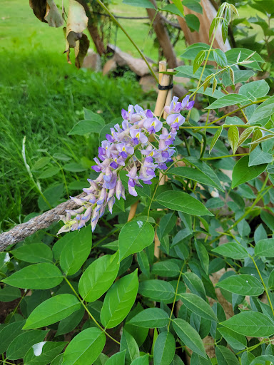 Plumber «Miller Sewer & Drain Cleaning», reviews and photos, 2416 Station Rd, Erie, PA 16510, USA