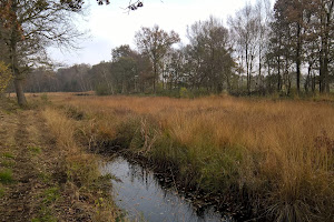 Soesterveen - Natuurmonumenten