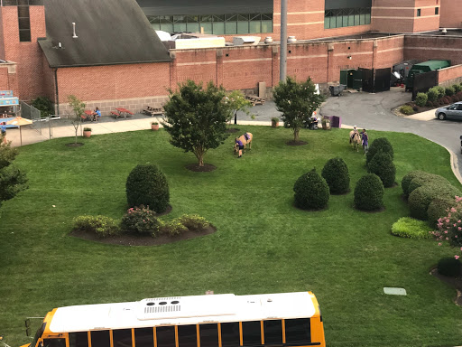 Stadium «Ripken Stadium», reviews and photos, 873 Long Dr, Aberdeen, MD 21001, USA