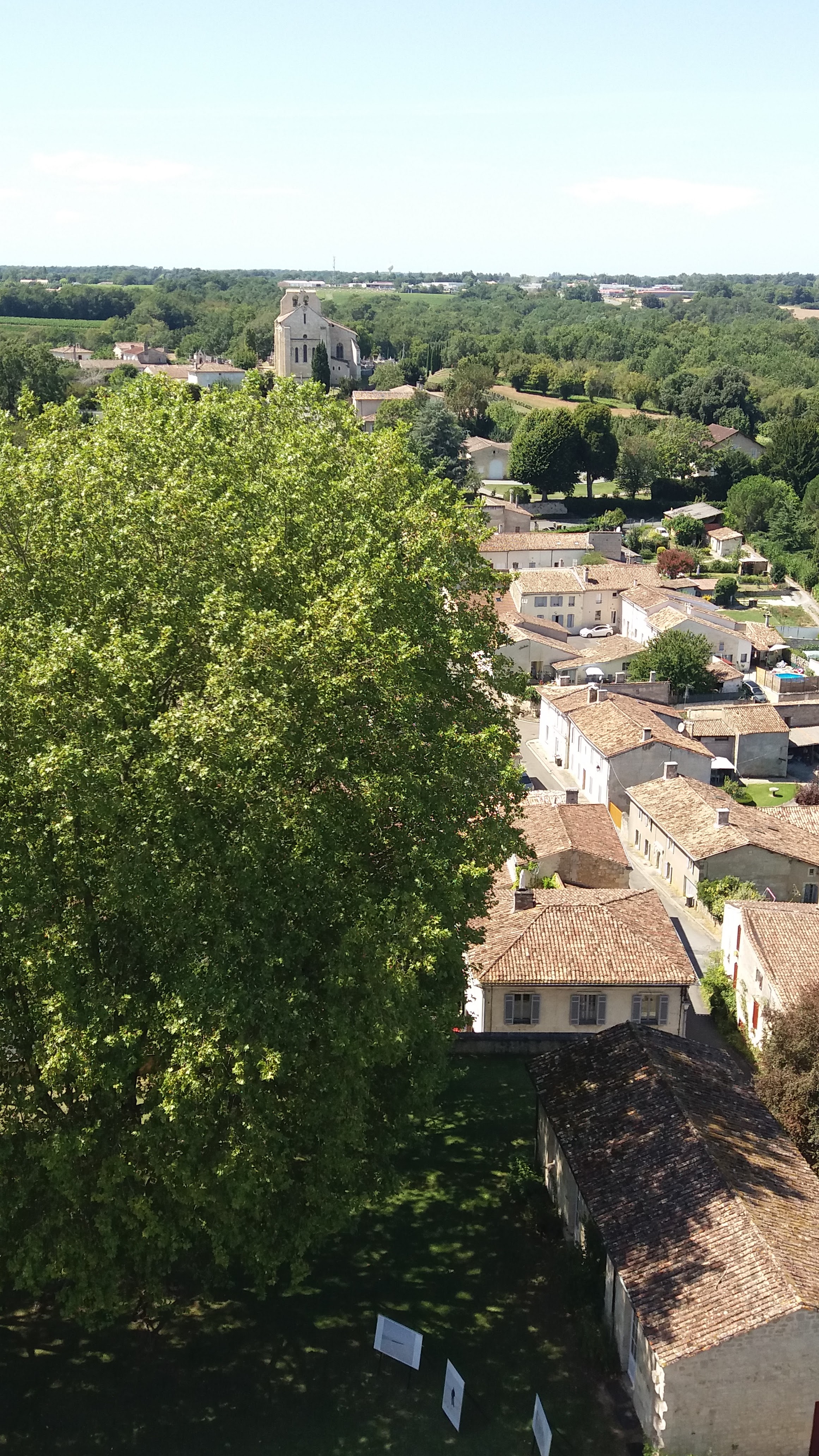 Photo n° 3 de l'avis de Terryjer. fait le 24/08/2019 à 08:51