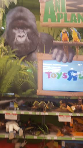 Toy Store «Toys