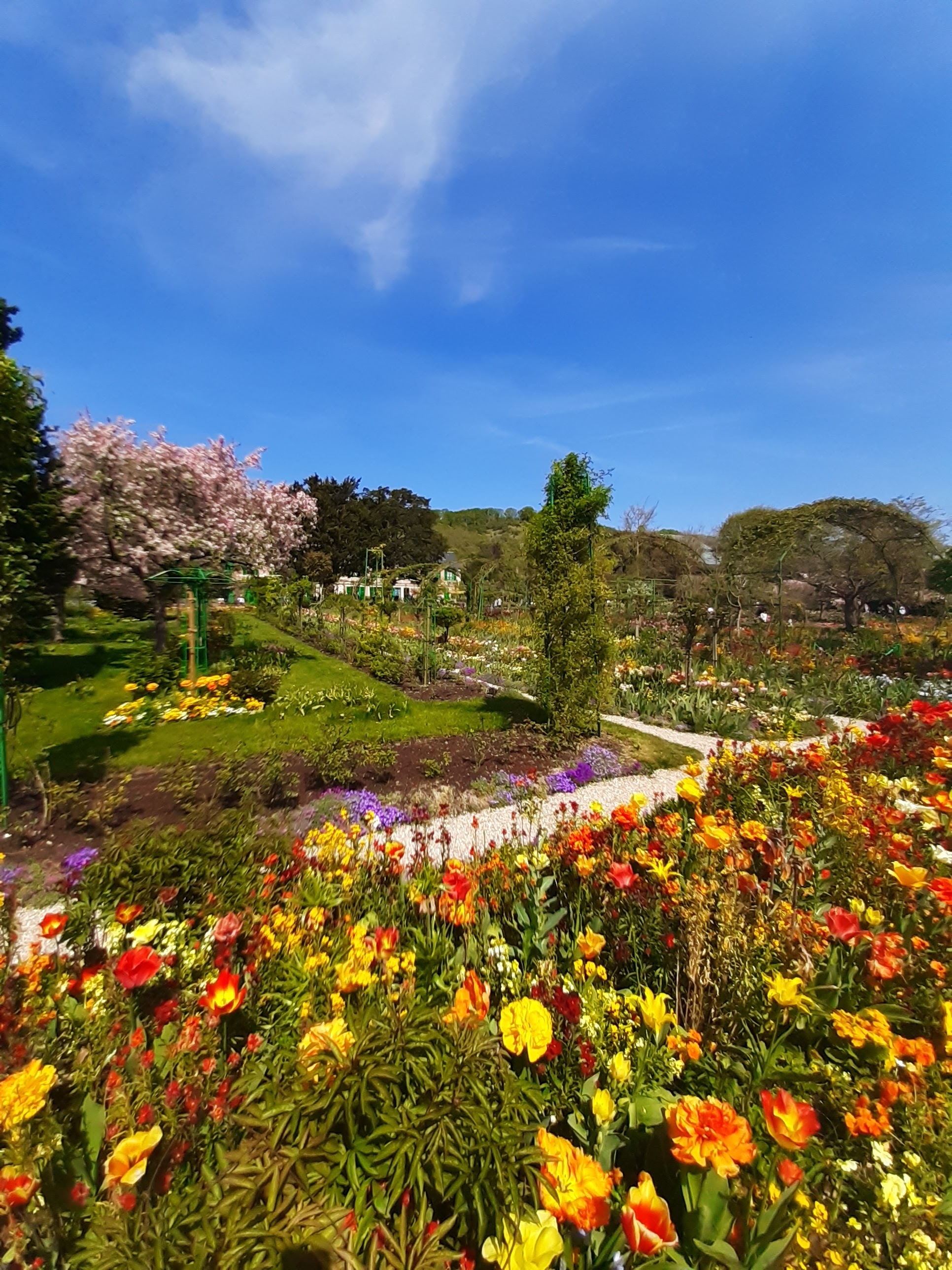 Photo n° 7 de l'avis de Orlane.a fait le 22/04/2022 à 19:49