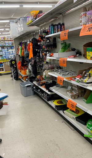 Discount Store «Dollar General», reviews and photos, 2 River Pl River Pl, Lansing, IL 60438, USA