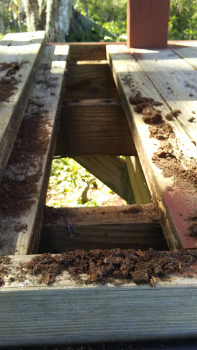 Golf Course «Deer Island Country Club», reviews and photos, 18000 Eagles Club House Way, Tavares, FL 32778, USA