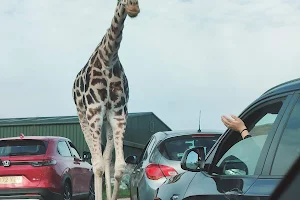 West Midland Safari Car Park image