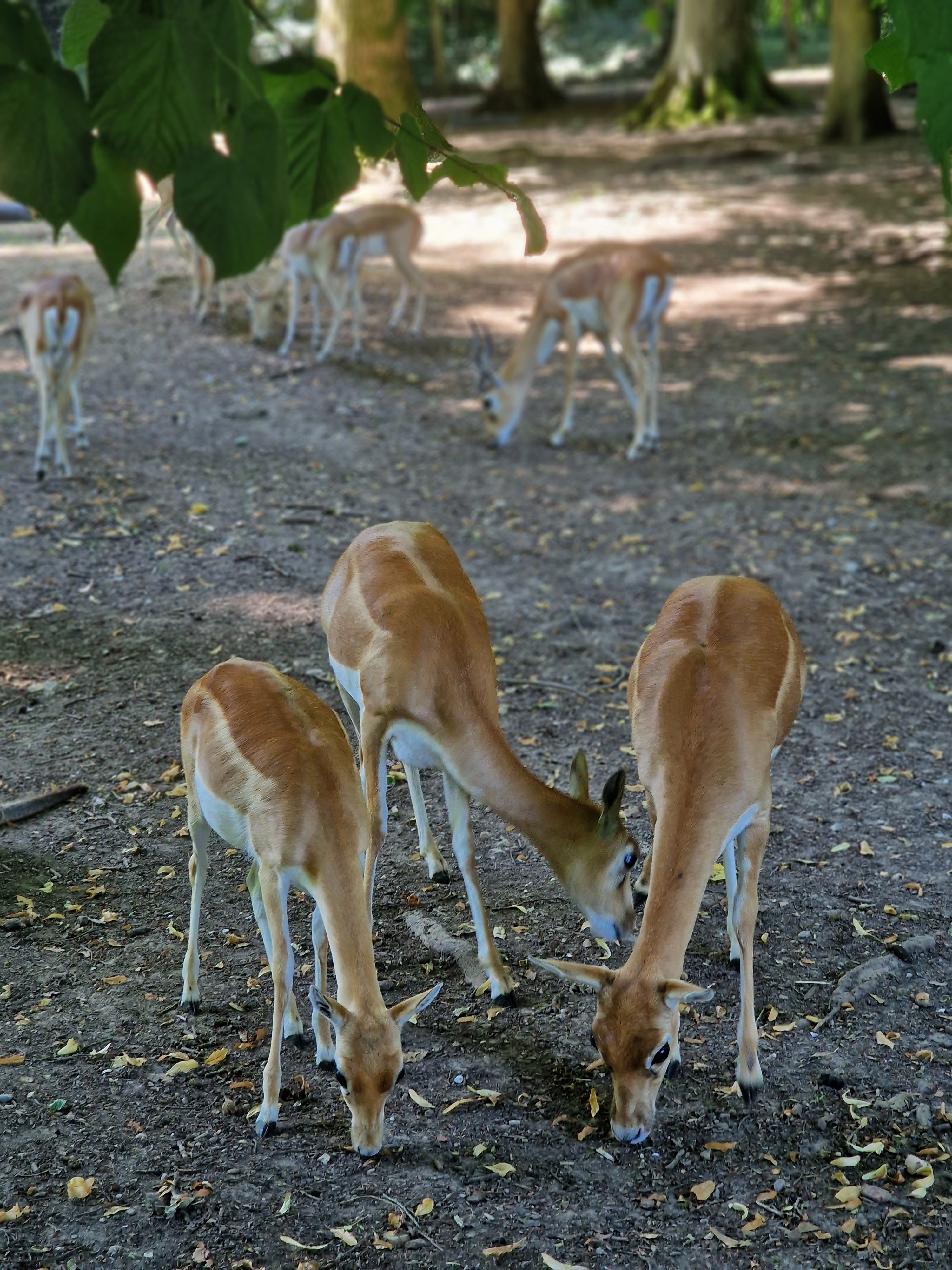 Photo n° 3 de l'avis de Arnaud.o fait le 16/07/2022 à 10:32