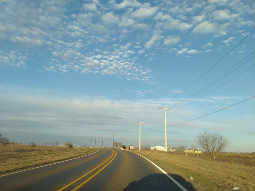 Ranch «Sharkarosa Wildlife Ranch», reviews and photos, 11670 Massey Rd, Pilot Point, TX 76258, USA