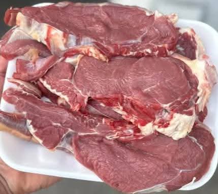 ملحمة مهرجان الانعام 